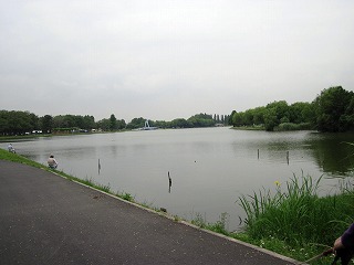 e0121589_11233423.jpg