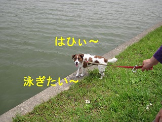 e0121589_11353534.jpg