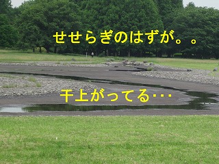 e0121589_11401148.jpg