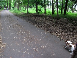 e0121589_11412868.jpg
