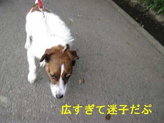 e0121589_11423515.jpg