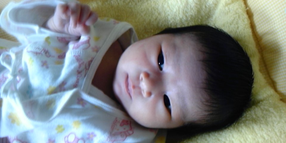 a0191095_17311575.jpg