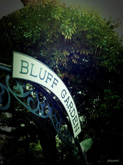 f0185802_21105819.jpg