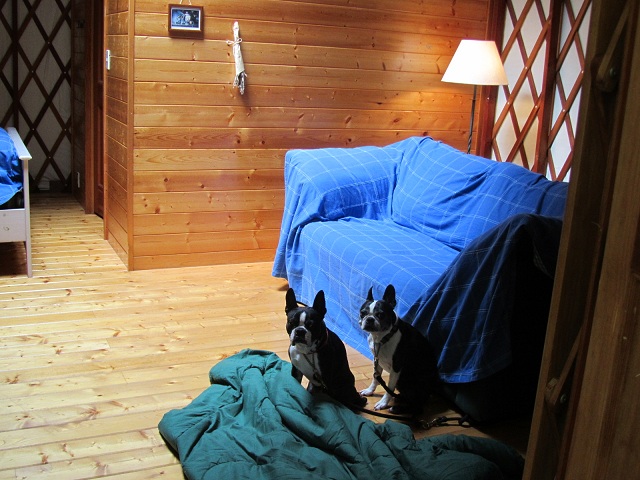 b0027203_1292558.jpg
