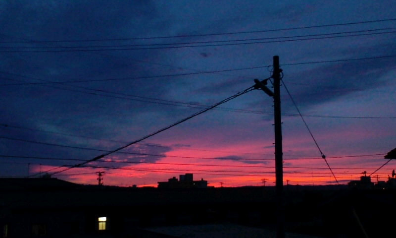 d0093903_1946557.jpg