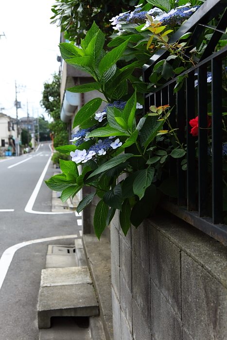 e0117503_22405140.jpg