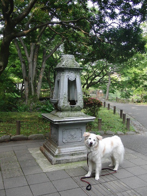a0032004_0243943.jpg