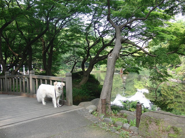 a0032004_0251387.jpg