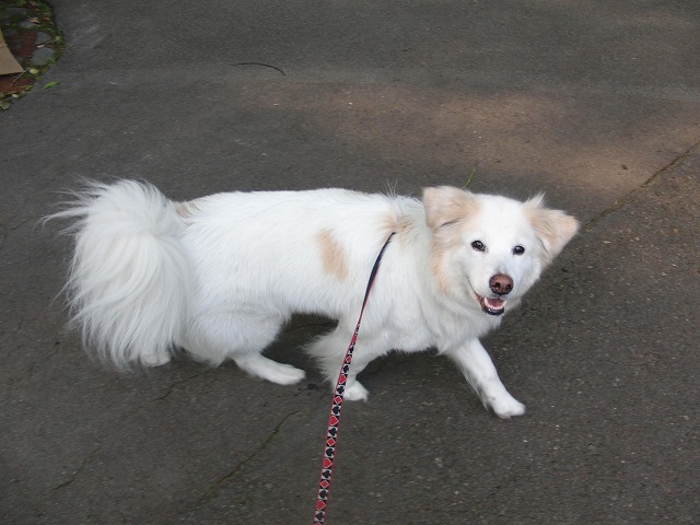 a0032004_026240.jpg