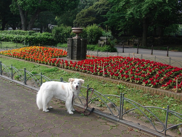 a0032004_0263434.jpg