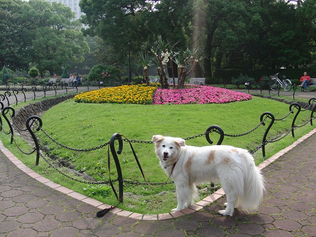 a0032004_02658100.jpg