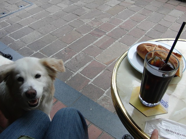 a0032004_0325516.jpg