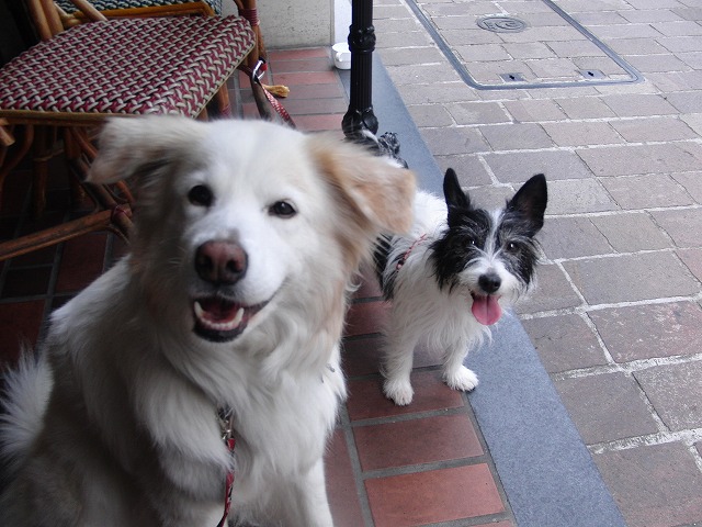 a0032004_0345492.jpg