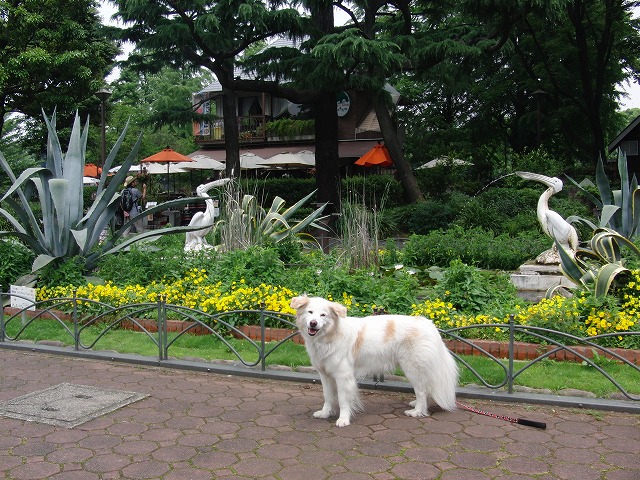 a0032004_0382296.jpg