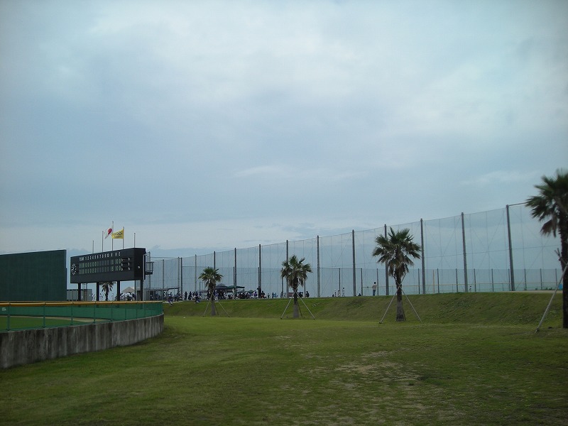 a0142107_1134521.jpg