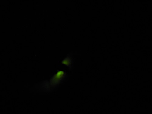 a0212807_23142891.jpg