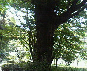 a0212807_23561068.jpg