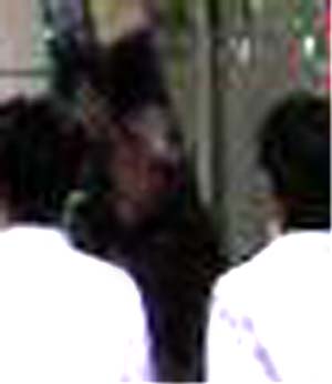 e0103408_15284047.jpg