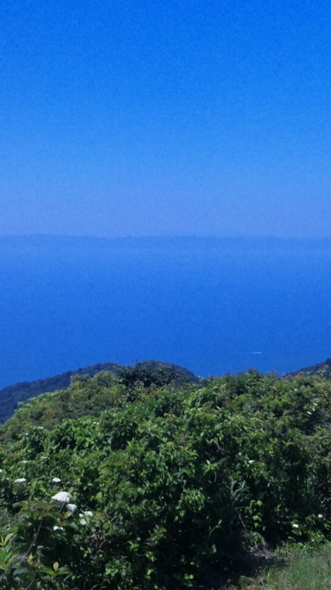 f0121909_8233358.jpg