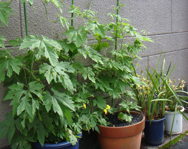 d0013513_2234099.jpg