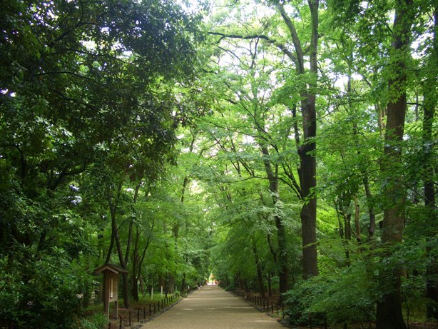 e0033713_10272831.jpg