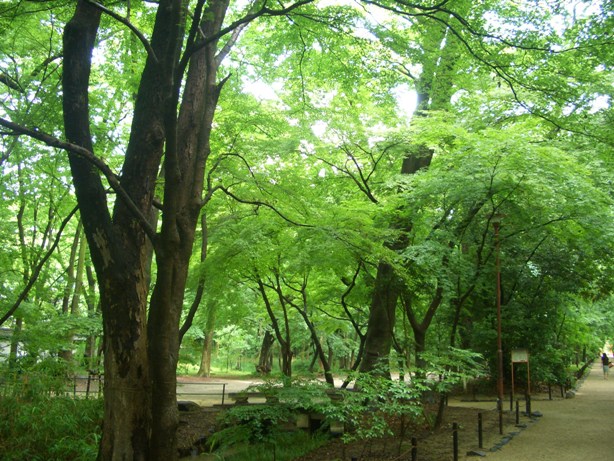 e0033713_10291025.jpg