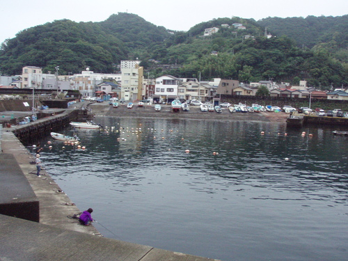 b0121015_15504394.jpg