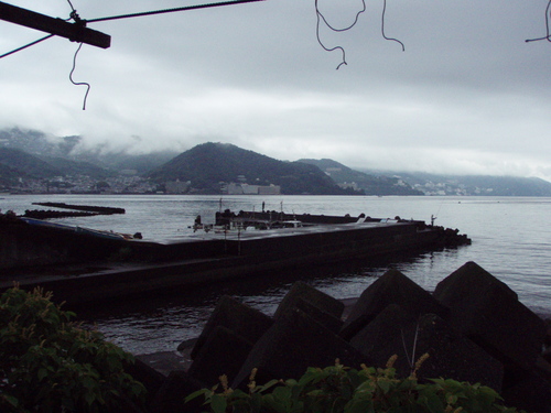 b0121015_15553897.jpg
