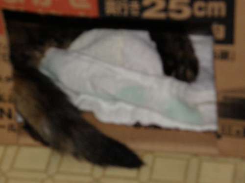 c0158916_22345353.jpg