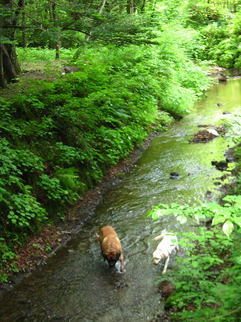 e0192217_16251654.jpg