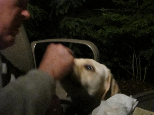 e0192217_16361739.jpg