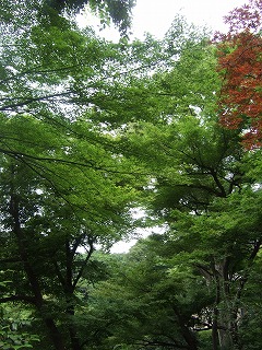 f0227218_1429342.jpg