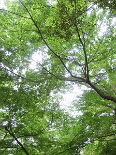 f0227218_14293862.jpg