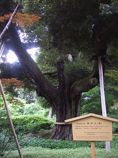 f0227218_1430279.jpg