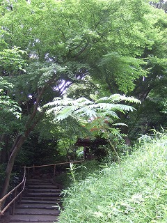 f0227218_1430811.jpg