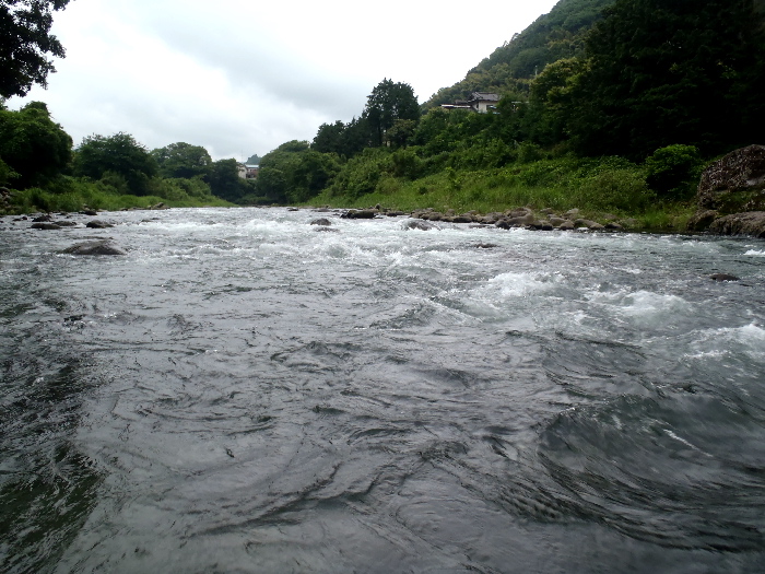 f0103126_21102666.jpg