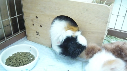 f0222527_0111136.jpg