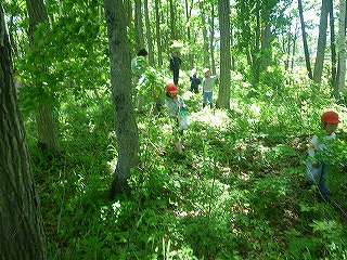 b0196837_18183565.jpg