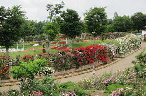 b0178339_2334382.jpg