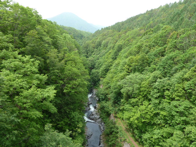 b0190242_21324216.jpg