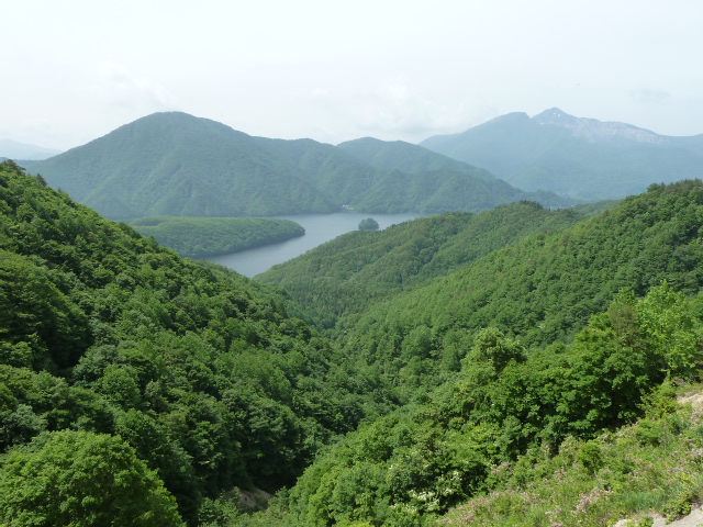 b0190242_21332249.jpg