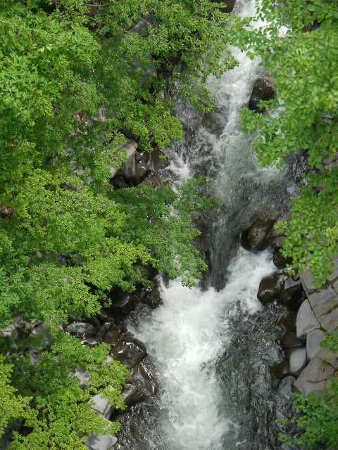 b0190242_213383.jpg