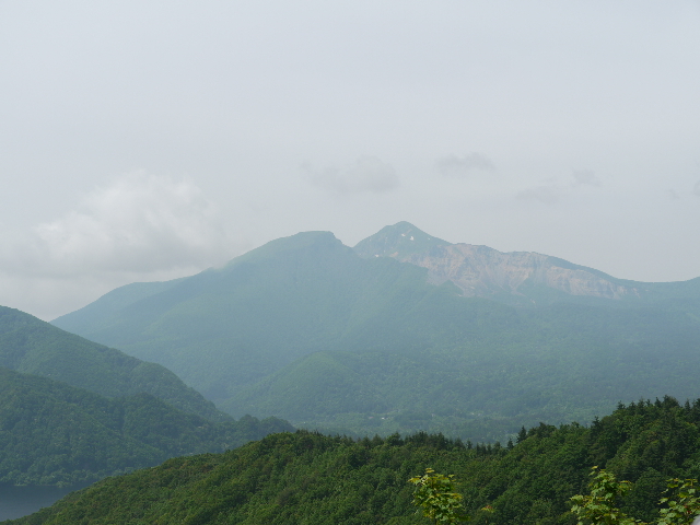 b0190242_21342661.jpg
