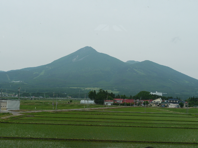 b0190242_21375692.jpg