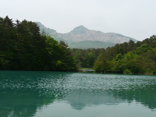 b0190242_2146524.jpg