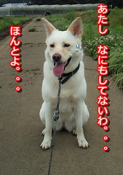 f0195543_2211311.jpg