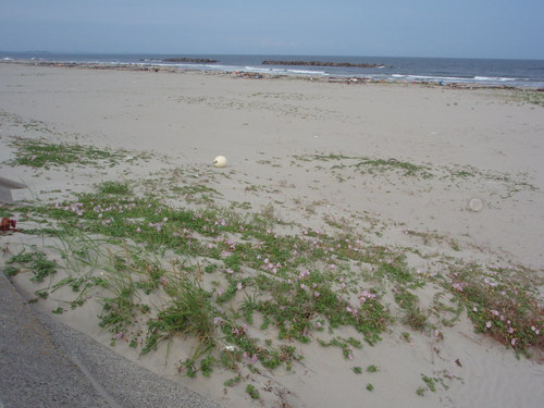 d0151144_1314948.jpg