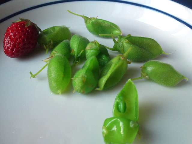 d0185150_115456100.jpg