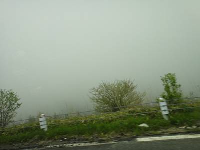 a0048852_19344553.jpg