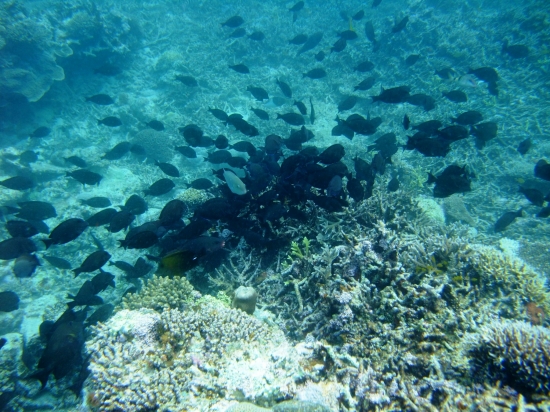 f0205857_21482631.jpg